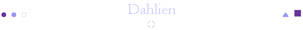 Dahlien