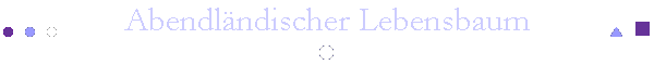 Abendl�ndischer Lebensbaum