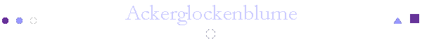 Ackerglockenblume