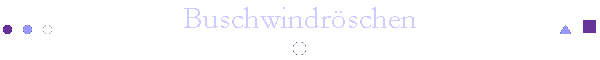 Buschwindr�schen
