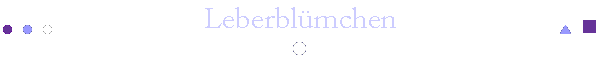Leberbl�mchen